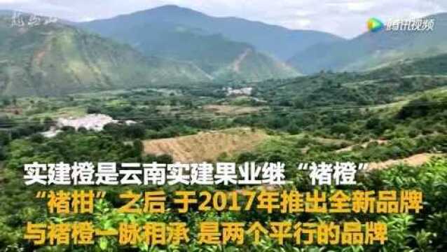 欣赏一下一位75岁高龄企业家创立的褚橙基地,玉溪市新平县哀牢山