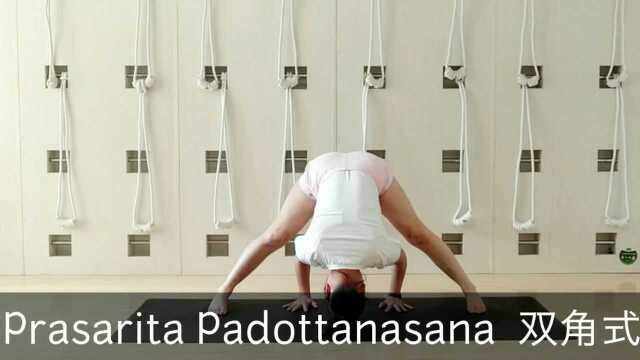 瑜伽站立体式— Prasarita Padottanasana 双角式