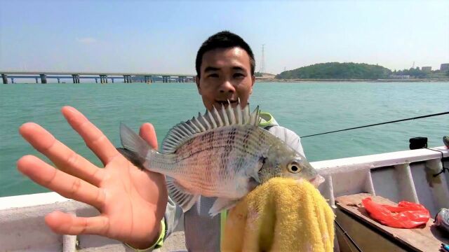 小伙海钓一斤一百多的鱼,两小时竟钓了十几斤,比中彩票还要刺激