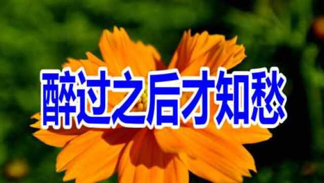 新歌《醉过之后才知愁》不再奢求你的相守,从此我一个人走!