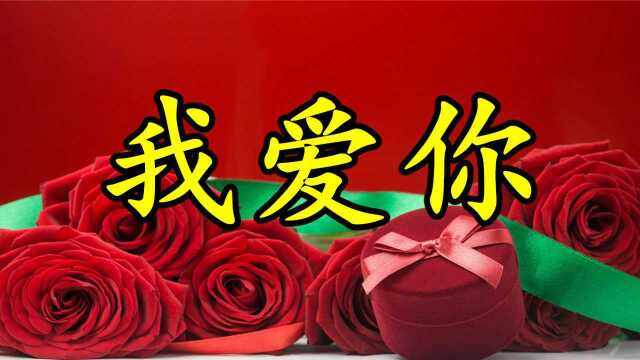 一曲《我问你》听的心酸,不要再爱你,不要再想你