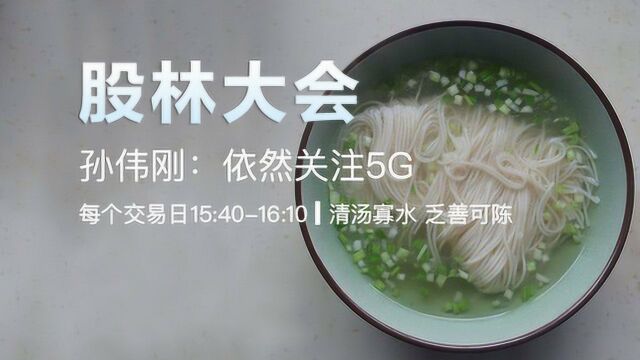 孙伟刚:依然关注5G