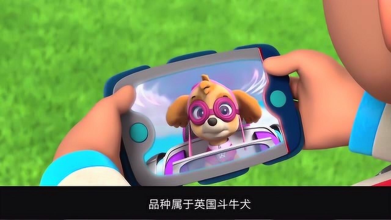 汪汪队小砾往前冲