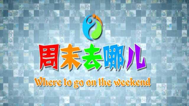 周末去哪儿第125期 金牛教育农场