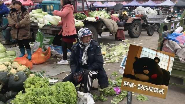 内蒙古气温降至7℃,他们披羽绒服穿棉裤卖菜:一立秋就得穿