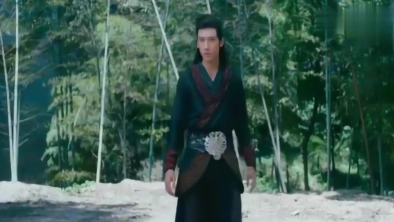 虚竹遇到最强对手,灵鹫宫四大侍婢被秒杀,虚竹梦姑最终被冰封_高清1080P在线观看平台_腾讯视频