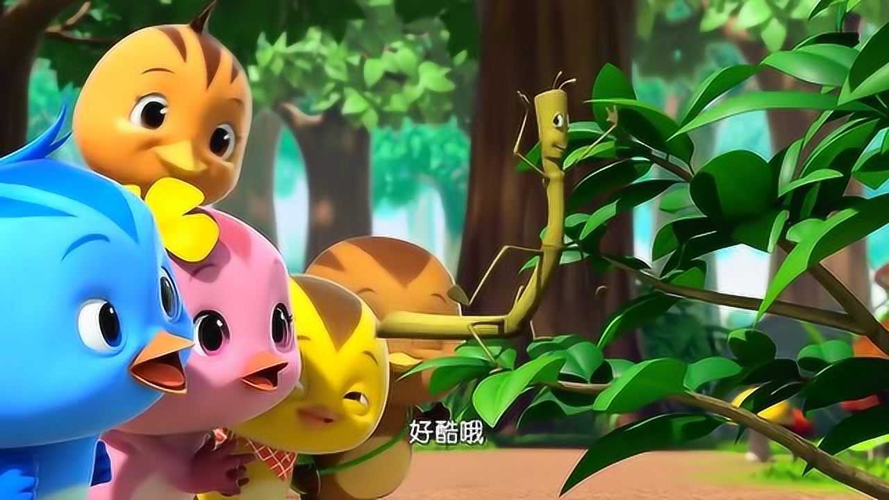 萌鸡小队小鸡们一起唱歌成功找到竹节虫