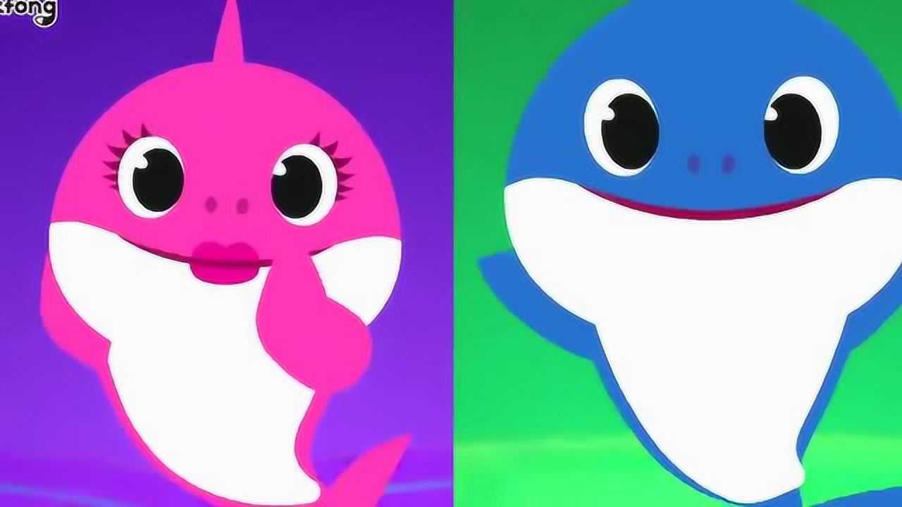 不一样的鲨鱼宝宝儿歌畅游在海底的鲨鱼一家人早教英语儿歌