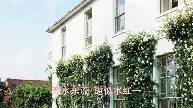 音乐歌曲骆集益织梦行云