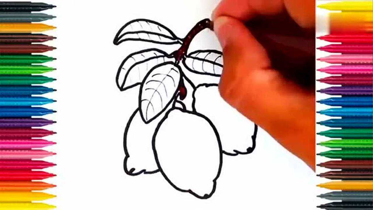 简笔画;可爱芒果树画画