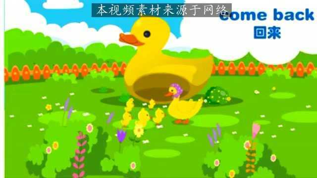 英语儿歌《Five little ducks》五只小鸭子一起玩耍