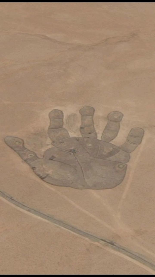 世界最大手掌图案