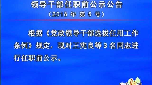 白山市拟提拔县 处 级领导干部任职前公示公告