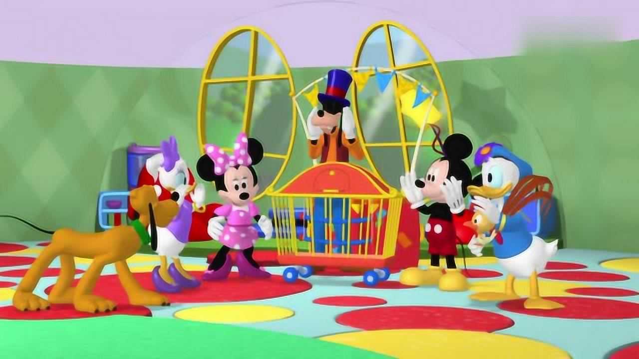 米奇妙妙屋:高飞开始魔术彩排,发现魔术使用的鸽子不见了