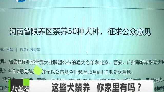 河南或将禁养50犬种,违规最高罚1万!萨摩耶、斗牛犬等在列!