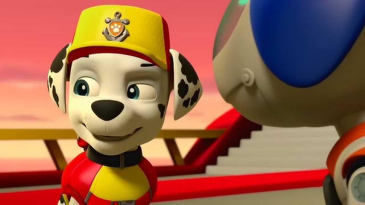 汪汪队立大功第五季:毛毛要耍宝引开海盗船长