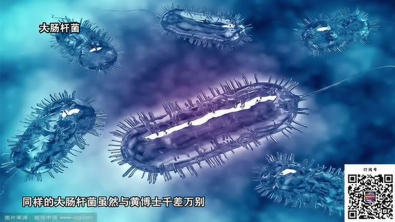 【生命是什么】生命体的共同特征_腾讯视频