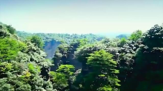 旅游纪录片:美丽中国,张家界风景航拍视频