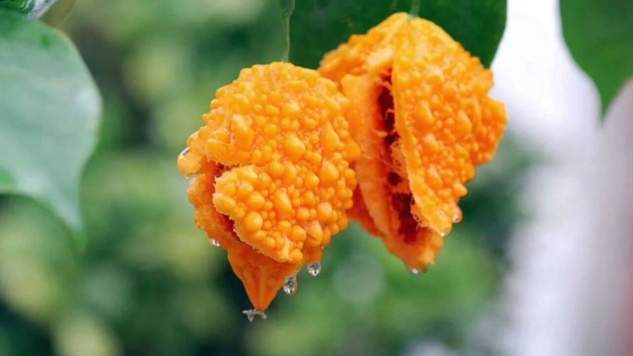 来腾讯视频看更多热门视频