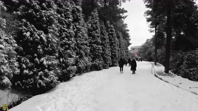 贵州很多地方都下大雪了,千里冰封万里雪飘!有你的家乡吗?