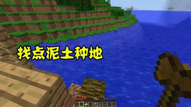 我的世界:无名岛生存,找点小麦种子做点面包