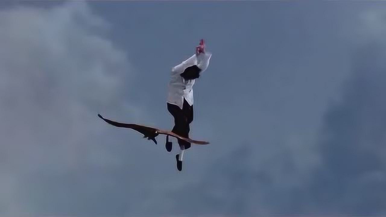 蛤蟆功练到这个地步小伙子太厉害了