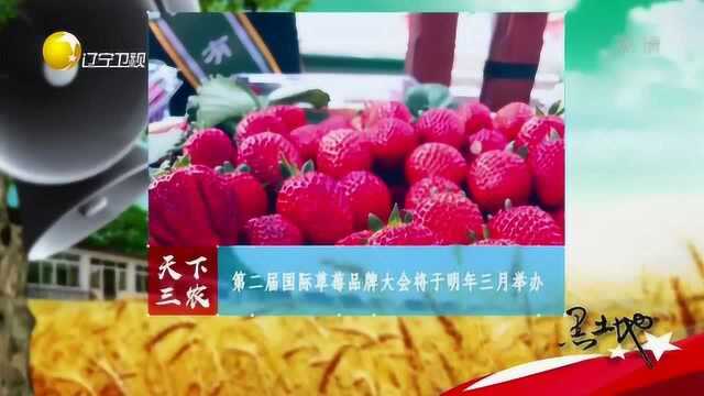 第二届国际草莓品牌大会将于2019年3月举行,各种草莓将展出!