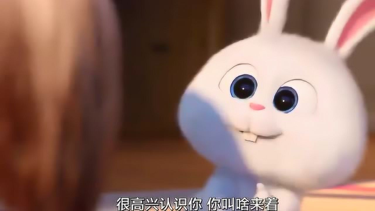 爱宠大机密 2黛西预告