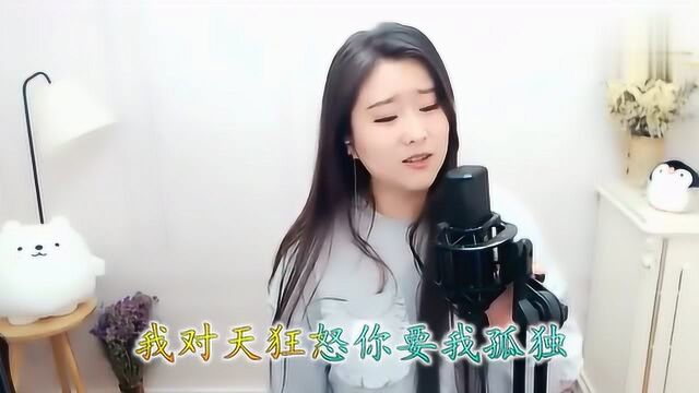 菲儿演唱歌曲爱的狂怒字幕高清版,分享给大家赏析