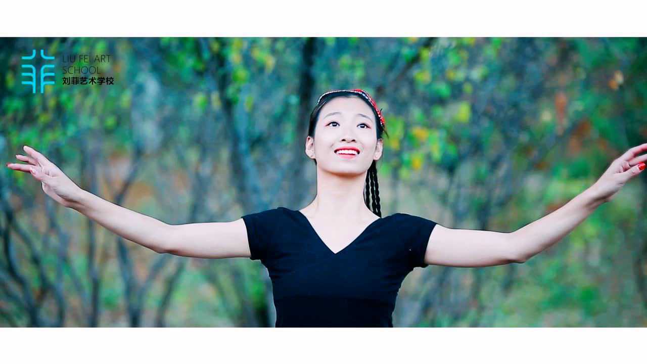 廊坊刘菲艺术学校宣传片