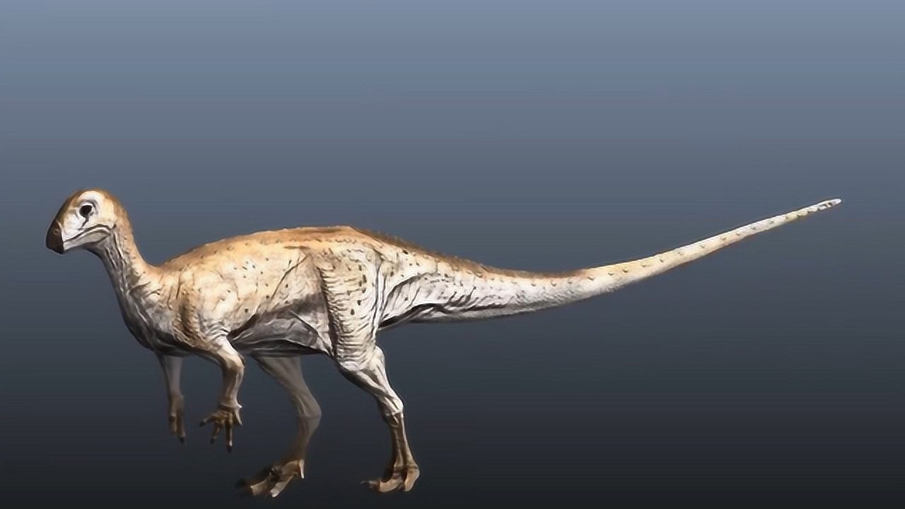 从侏罗纪活到白垩纪这种弱小的恐龙毫无抵抗力食肉龙不愿吃它