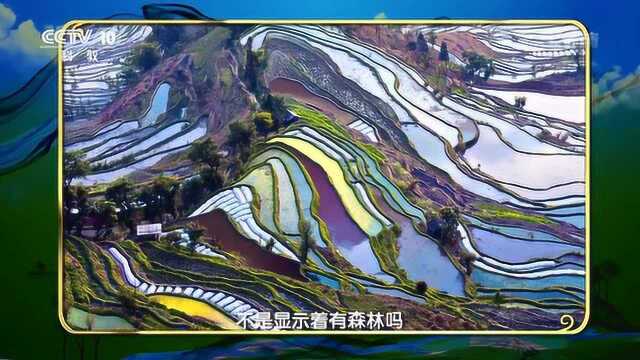 绿水青山看中国丨全球重要的农业文化遗产 梯田海拔高达2000米