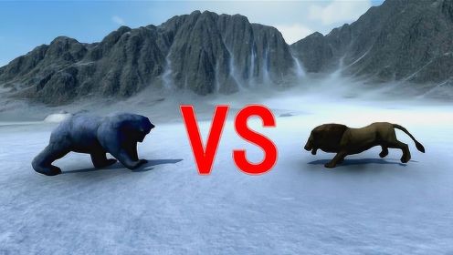一头狮子和一只棕熊在冰面上展开决斗，谁能赢？结局太意外了