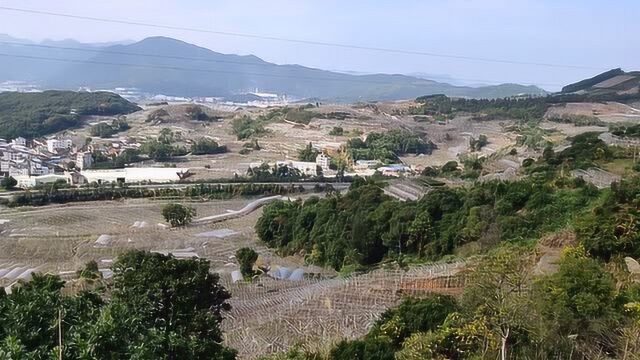 大将坐中堂脐穴出葬后代代出将帅,风水大师寻龙点穴阴宅祖坟风水