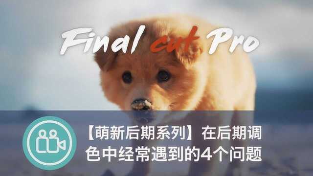 fcpx调色时萌新的常见问题