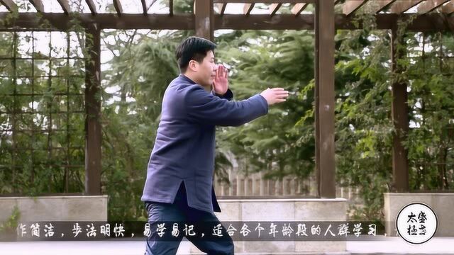 任明明老师演练的这套九式太极拳,沉稳大气,简约不简单!