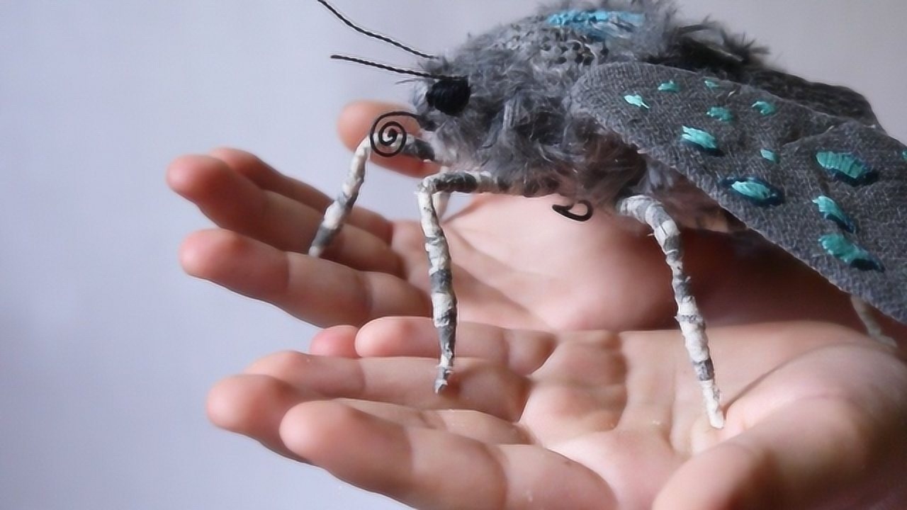 蛾子也开始吸血了变异吸血蛾和蚊子一起攻击人类