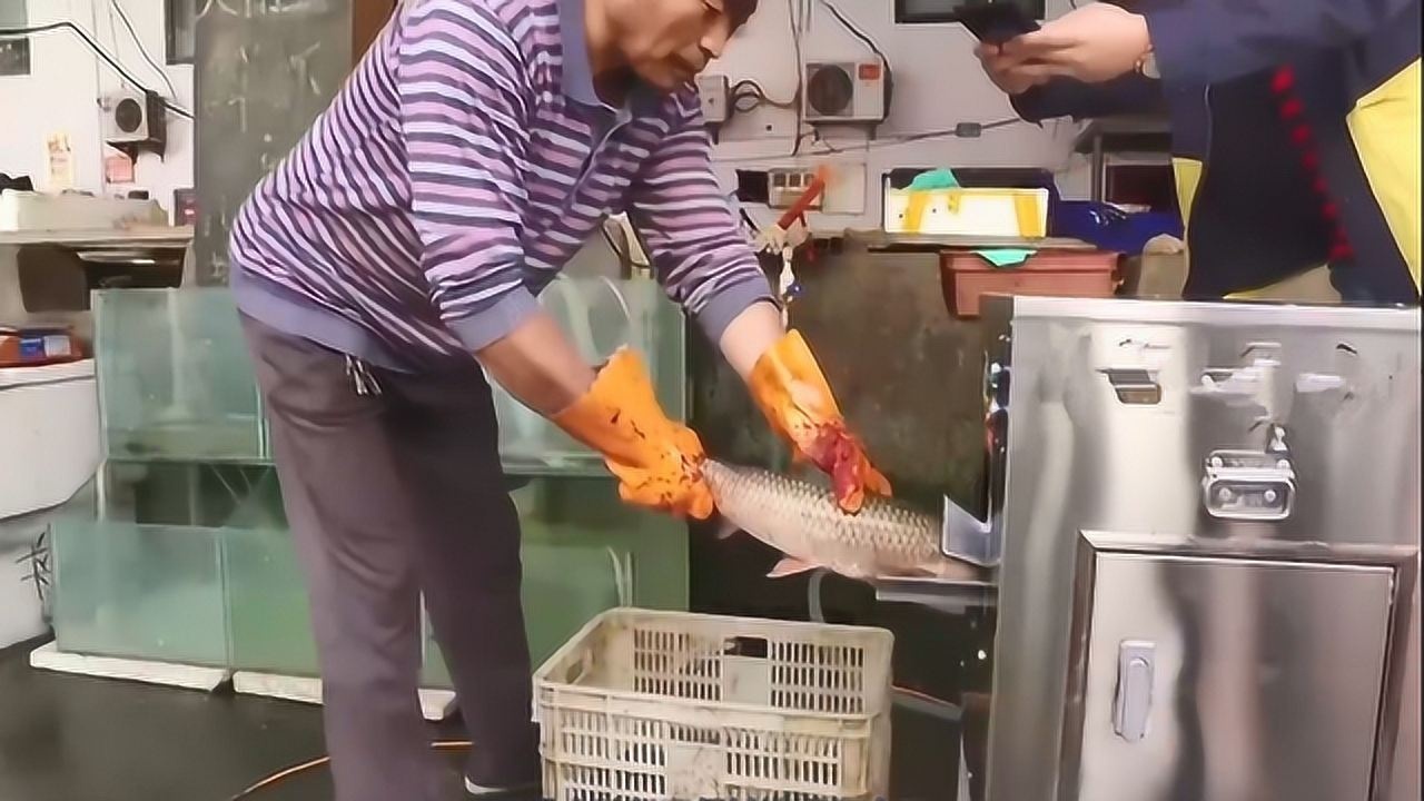 我国牛人发明自动杀鱼机器,活鱼进去清理的干干净净,已决定量产_腾讯视频