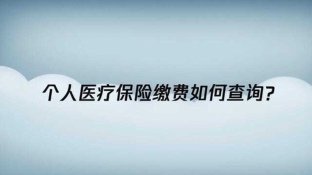 个人医疗保险缴费如何查询?