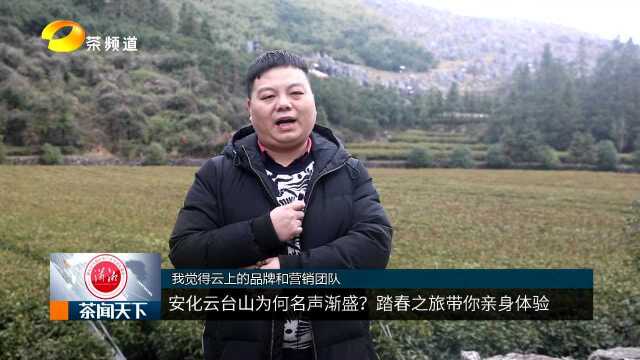 安化云台山为何名声渐盛?踏春之旅带你亲身体验!