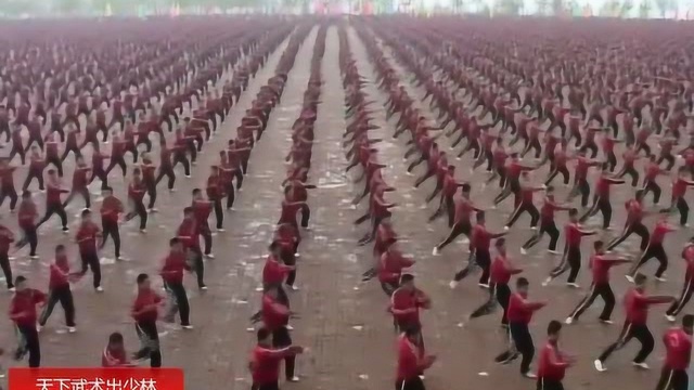 28000名武术学员参加河南少林塔沟武校武术表演