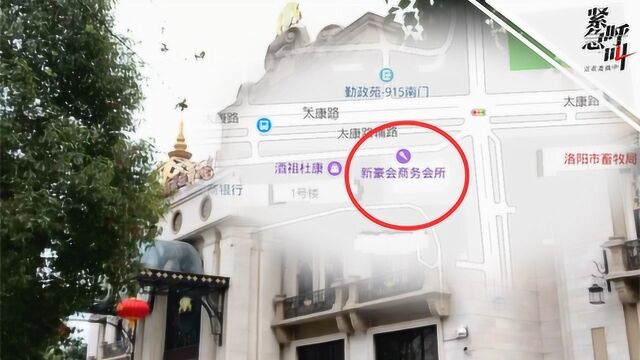 河南洛阳涉黄会所调查:店内暗藏淫秽游戏 陪酒女遭诱导卖淫