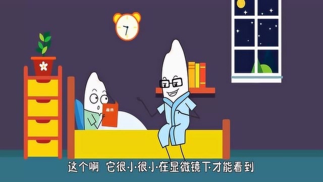 草履虫是如何繁殖的?