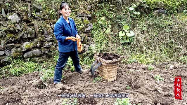 深山采访留守媳妇,眼神里满是无奈谁能懂!修条公路都成了奢望