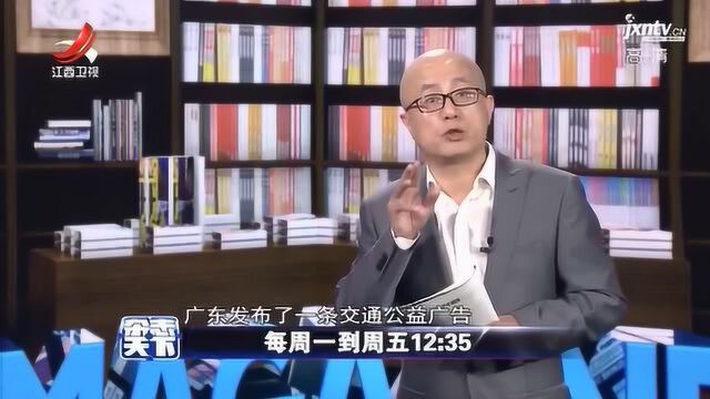 交通公益广告爆红网络,主演竟全是萌宠,汪星人不惜身体力行!