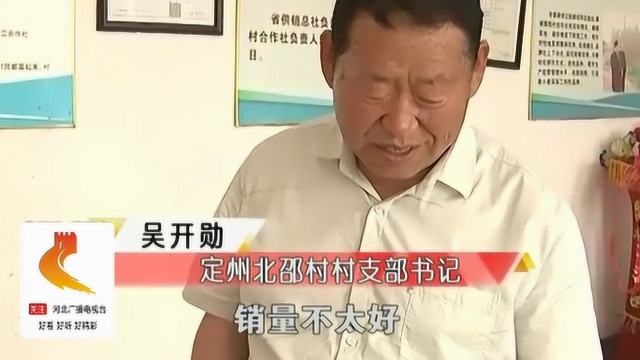 村干部带230户村民种黑小麦遇滞销,网上也卖不动,现在很发愁