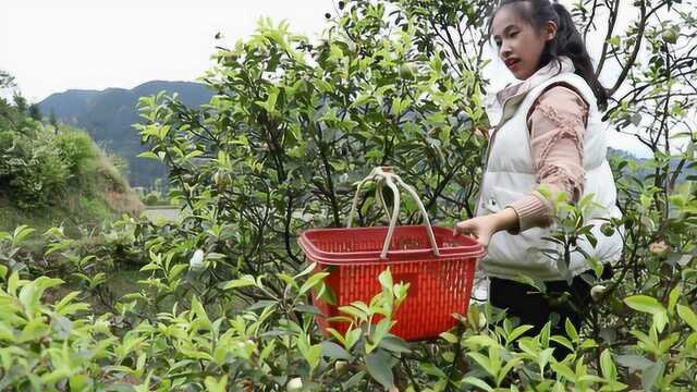 农村小玲妹这是在干嘛,爬上这么高的茶子树摘野果,你肯定没吃过