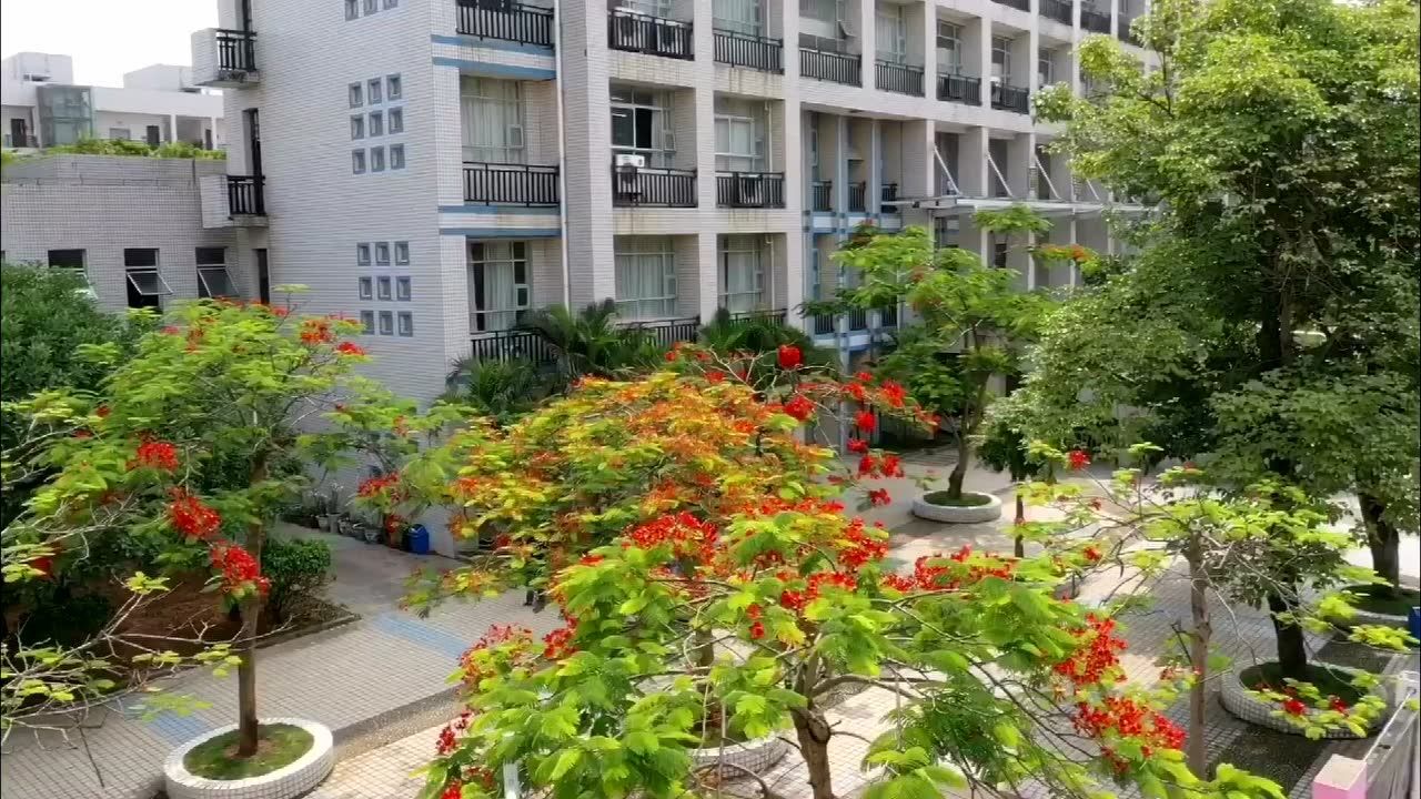 钦州一中校园风光