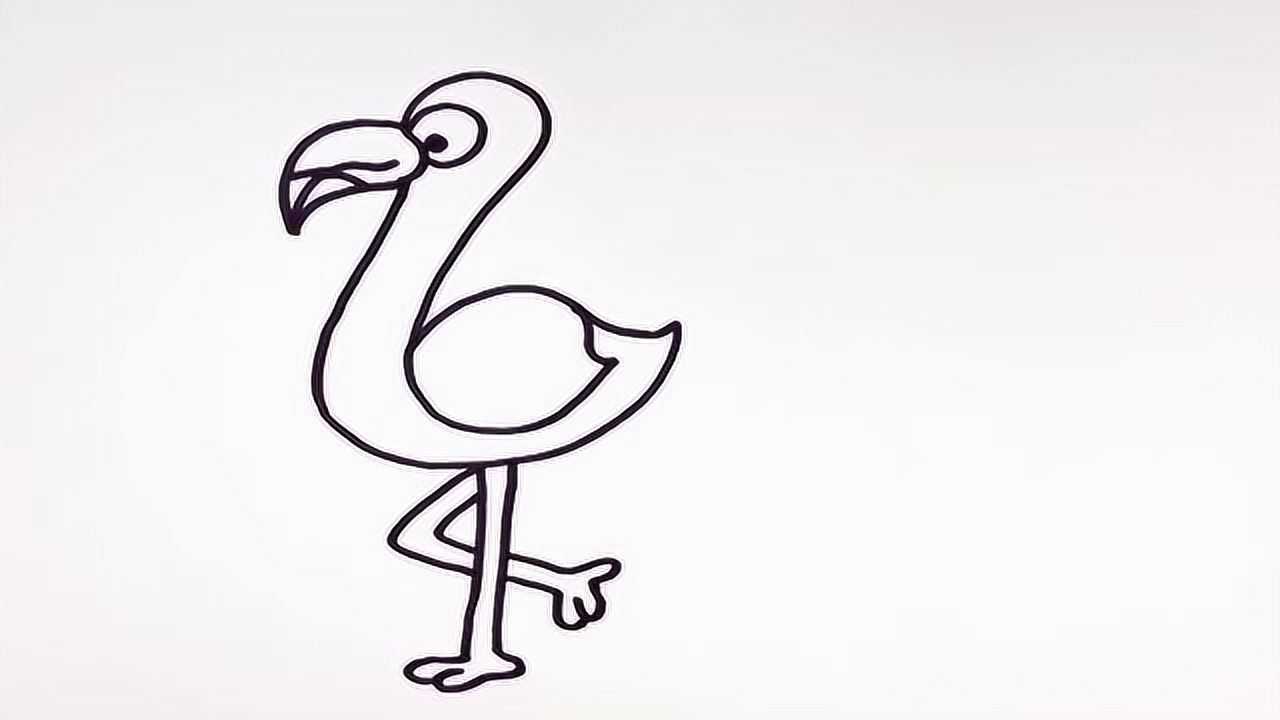 火烈鸟简笔画:教你画野生动物,不会飞翔的鸟