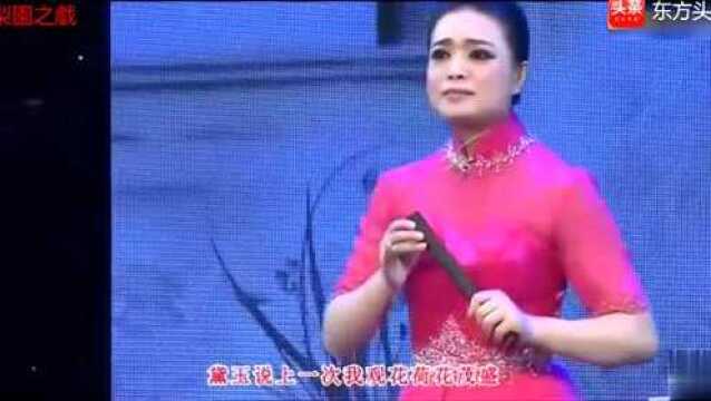 河南坠子《黛玉悲秋》